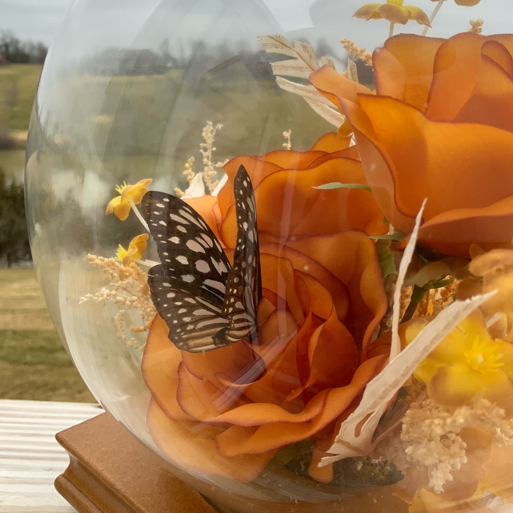 MCM White Blue Monarch Butterfly Taxidermy w/Flowers